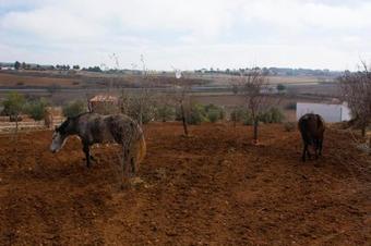 Agroturismo El Retiro De Cervantes
