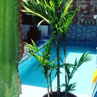 Apartamento Suites +