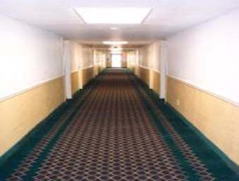 Hotel Super 8 Grand Prairie North