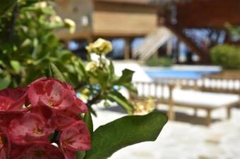 Hotel Sea Breeze