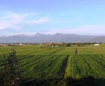 Idea Hotel Pisa Migliarino