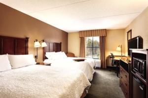 Hotel Hampton Inn & Suites Lake George Ny