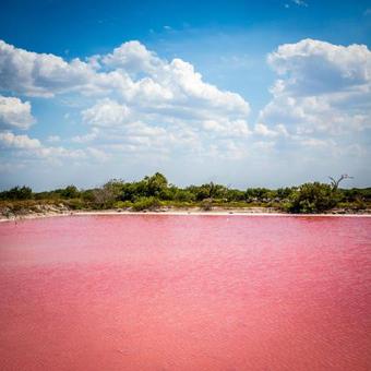 Hotel Grand Marina Kinuh