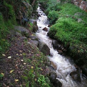 Chalets Altos Del Pedregal