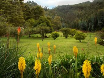 Agroturismo Finca La Mara