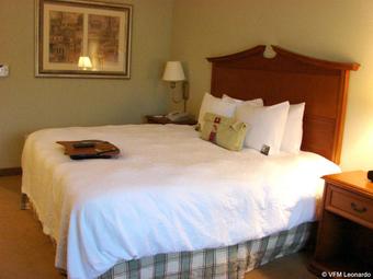 Hotel Hampton Inn College Station / Us 6-east Bypas