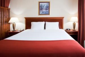Hotel Holiday Inn Express Howe (sturgis, Mi)