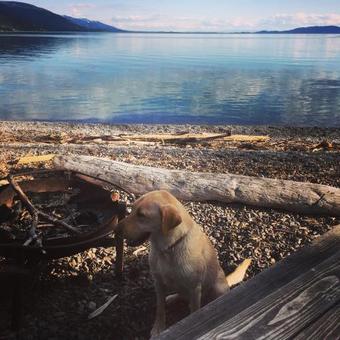 Hotel Flathead Lake Resort