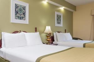 Hotel Country Inn & Suites Lakeland