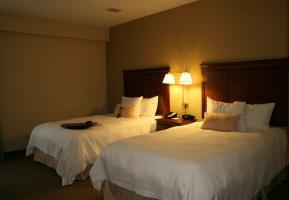 Hotel Hampton Inn Midland Mi