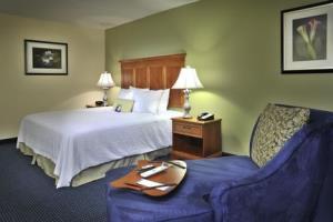 Hotel Hampton Inn & Suites Atl-six Flags Ga