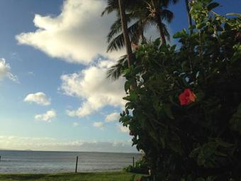 Apartamento Kanai A Nalu #110 Condo