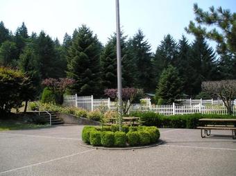 Thunderbird One-bedroom Cabin 5