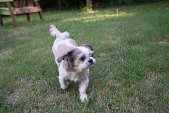 Hotel River View Garden Resort