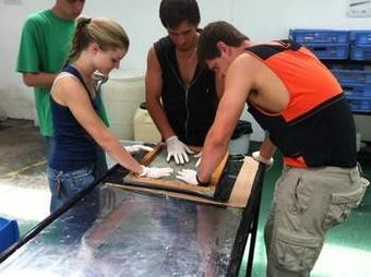 Hotel Buena Vista Lodge