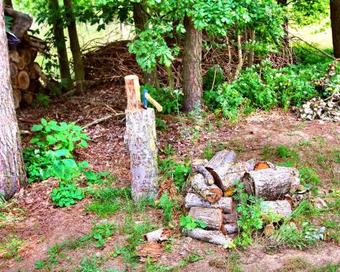 Ferien_haus Traeumerei