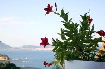 Pharus Miseni Apartment