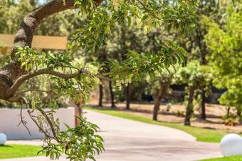 Hotel Corte Bianca - Bovi's Hotels