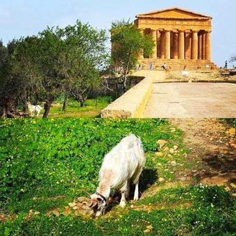 B&B Villa Maria Agrigento