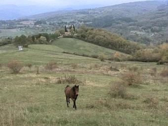 Agroturismo Agriturismo Mandrioli