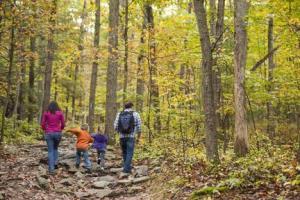 Hotel Hampton Inn Harrisburg - West