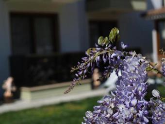 Hotel Derin Butik Otel