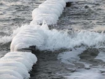 Apartamento Reetgedecktes Fh Am Deich 1 - [#95008]