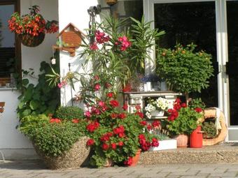 Hostal Pension Zum Ebenstein Am Donausteig