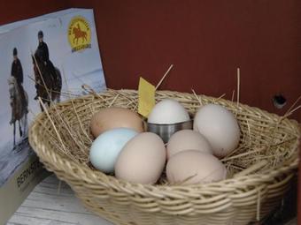 Apartamento Ferien Auf Einem Reiterhof