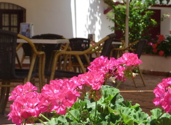 Hotel Cortijo Del Arte, 3***, Pizarra