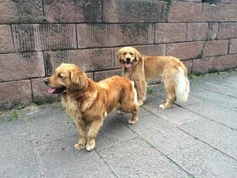 Ver fotos
