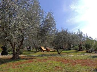 Apartments Marinovic