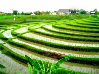 Hotel Villa Onga Bali