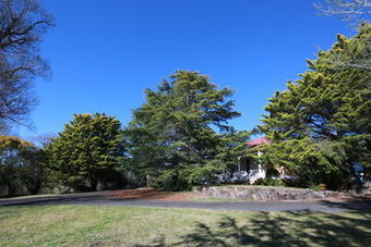 Hotel Best Western  Moore Park Inn