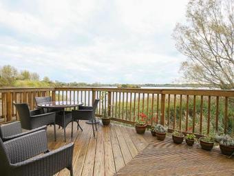 Jackdaws, Cotswold Water Park