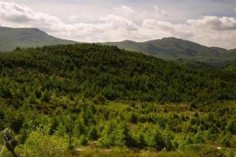 Apartamento Grass Guards Cottage