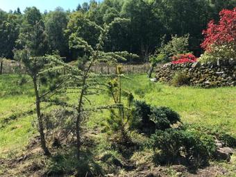 Deer How Farm, Penrith