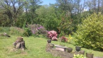 Hills Farm B&B Laugharne