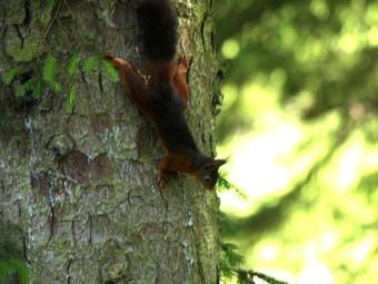 Snittlegarth Lodge 2