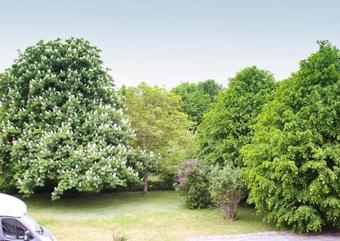 Bl�kr�kan Bed & Breakfast