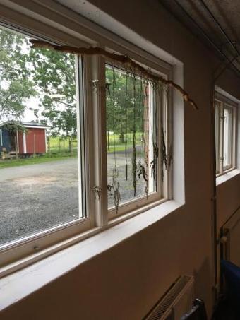 Topperyd Bed & Breakfast