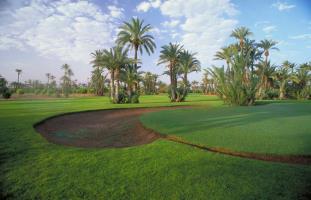 Hotel Barcel� Palmeraie