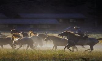 Hotel 320 Guest Ranch