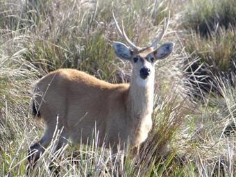 Bed & Breakfast Posada Mboy Cua