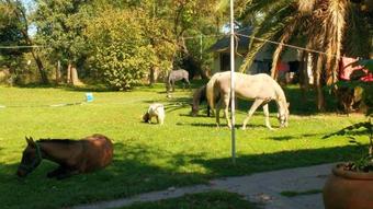 Habitacion Para Huespedes En Casa Quinta