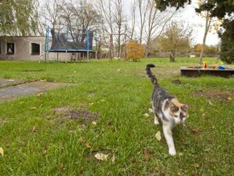 Amazing Holiday Home In Am Salzhaff With Terrace