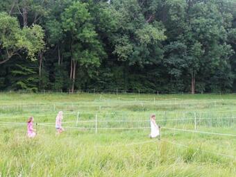 Tasteful Holiday Home With Terrace, Garden And Barbecue