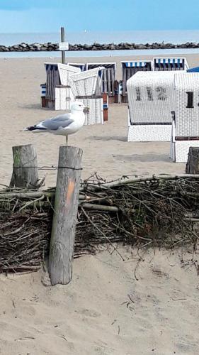 Apartamento Markert - [#26417]