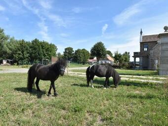 Stylish Holiday Home In Detershagen (kropelin) With Garden