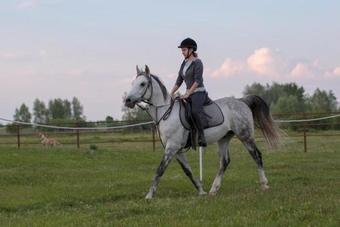 Hostal Secluded Rooms Bilje (slavonija) - 14318